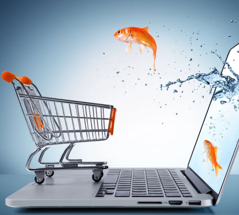 eCommerces (lojas virtuais)